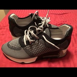 Women’s size 9 never worn Ash sneakers.  $75.00